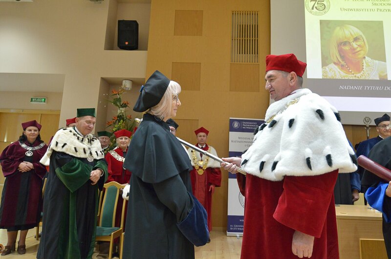 prof. Czesława Rosik-Dulewska
